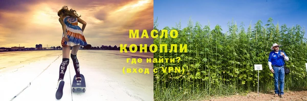 амф Каменка