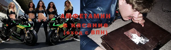 индика Каменногорск