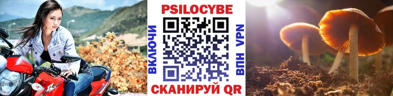 Псилоцибиновые грибы MAGIC MUSHROOMS  закладки  Ессентуки 